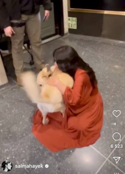 "Тварини впізнають добру душу": Хаєк розчулила фанів своїми обіймашками з незнайомим службовим псом. Відео