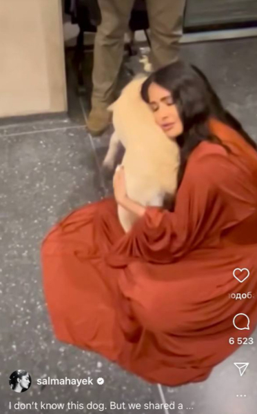 "Тварини впізнають добру душу": Хаєк розчулила фанів своїми обіймашками з незнайомим службовим псом. Відео