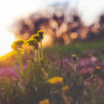 Какой сегодня праздник: 9 августа 2025 — день святого Матфея, традиции, приметы и что нельзя делать