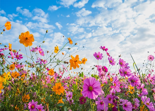 Какое сегодня празднование: 24 августа 2025 — день святого Евтихия, традиции, приметы, запреты и именины