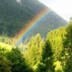 Какой сегодня праздник: 5 августа 2025 — день святого Евсигния, приметы и запреты