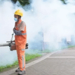 Китай столкнулся с новым вирусом Чикунгунья: более 7000 случаев заражения, что известно о его распространении и как он передается