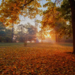 Какой сегодня праздник: 14 сентября — Воздвижение Креста Господня, запреты и народные приметы