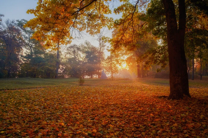 Какой сегодня праздник: 14 сентября — Воздвижение Креста Господня, запреты и народные приметы