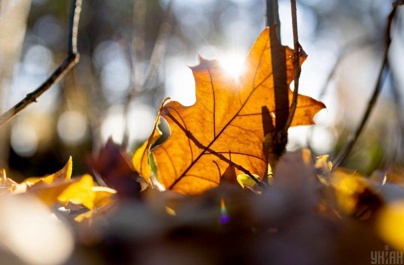 Какой сегодня праздник 17 сентября 2025 года — день святых мучениц Веры, Надежды, Любови и Софии, традиции, запреты и приметы