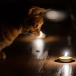 График отключений света 13 декабря в Киеве и области: что известно по районам