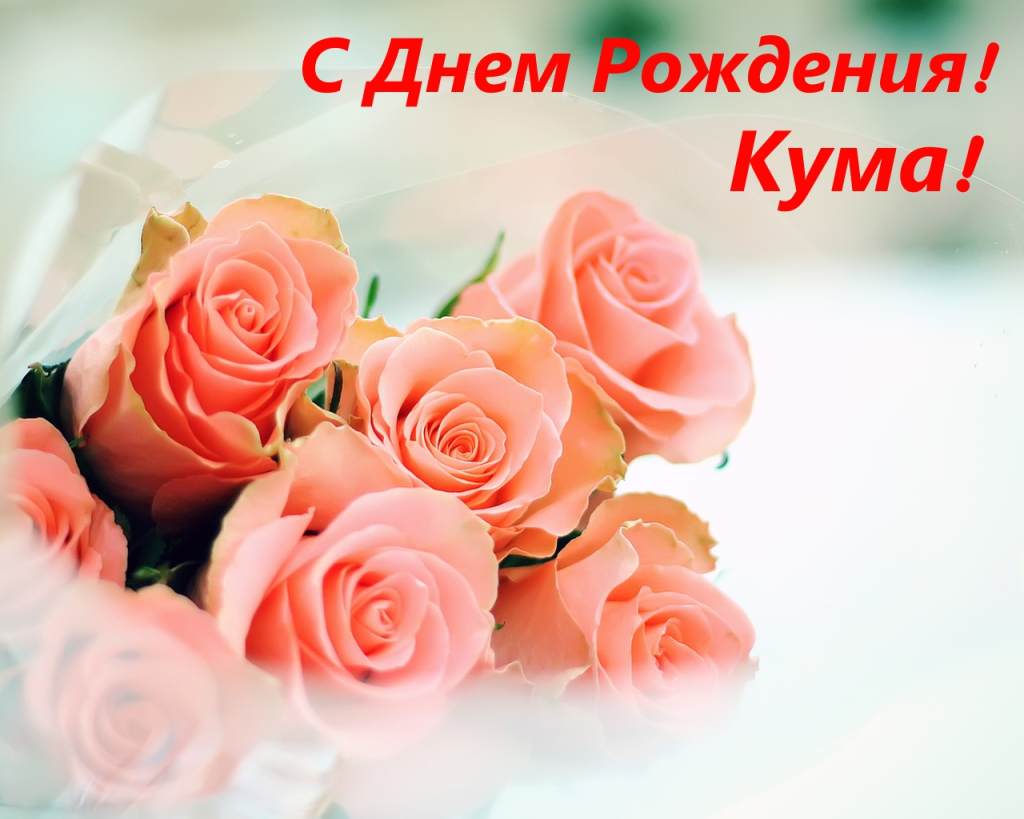 Поздравления для кумы с днем рождения: красивые, душевные и веселые пожелания
