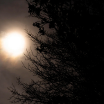 Что нельзя делать во время солнечного затмения 17 февраля 2026 года: советы и запреты