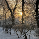 Прогноз погоды в Украине: морозы, снегопады и гололедица в середине февраля 2026 года