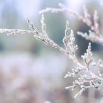 Погода в Украине на февраль 2026: сильные морозы, потепление волнами и мокрый снег