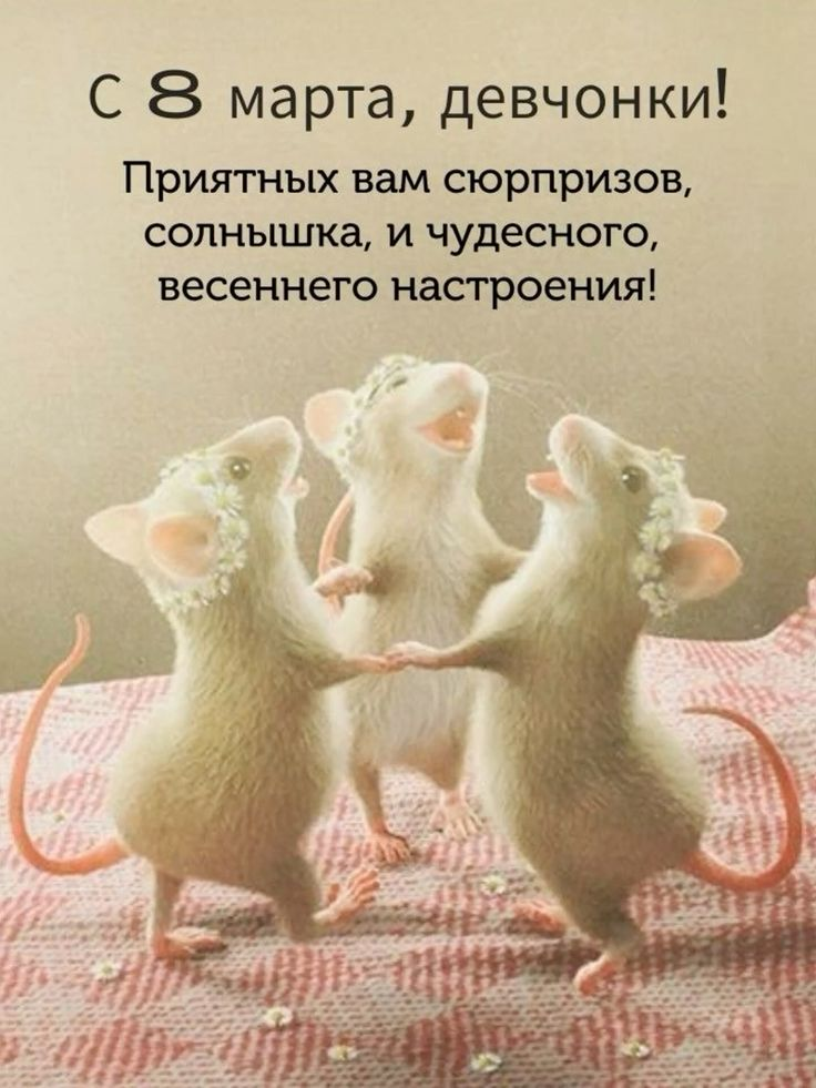 Как поздравить подругу с 8 марта: прикольные поздравления, стихи и картинки