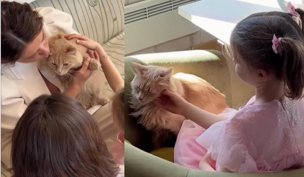 Могилевская сообщила о пополнении в семье: певица забрала кошку из отеля