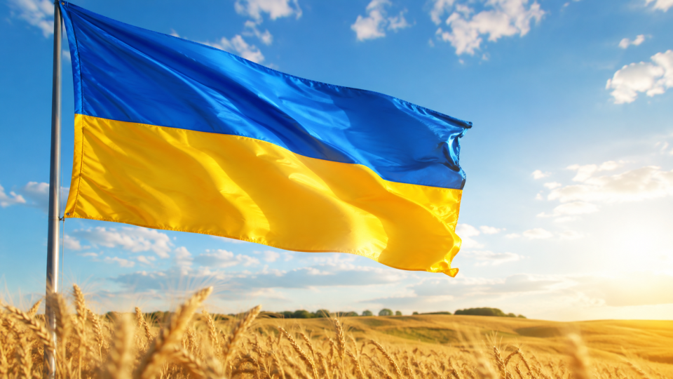 День флага