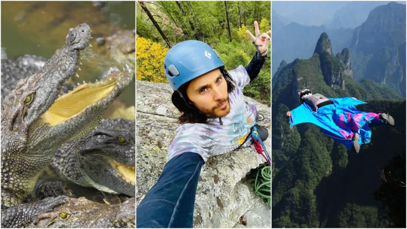 Самые опасные хобби миллионеров: почему богачи рискуют жизнью ради адреналина